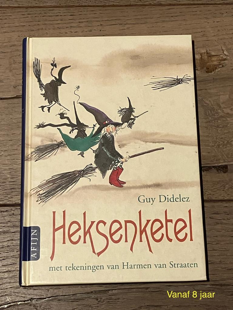 Guy Didelez - Heksenketel, Ophalen of Verzenden, Gelezen, Guy Didelez, Fictie algemeen