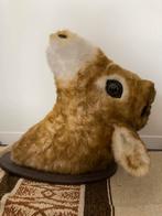 GRATIS Wandkop dier pluche, Enlèvement, Utilisé