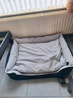 Honden mand, Dieren en Toebehoren, Ophalen