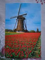 Postkaart Molen, Ophalen of Verzenden