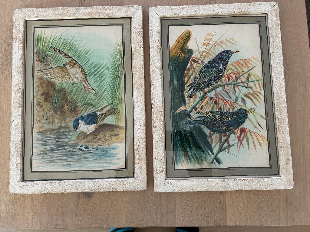 2 vogel schilderijtjes, Ophalen of Verzenden