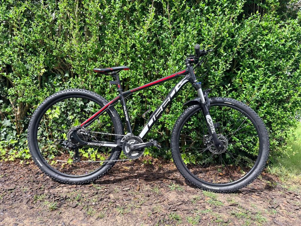 Velo deed flame 29“, Enlèvement, Comme neuf