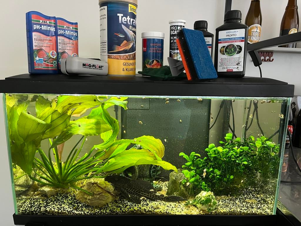 Aquarium 54 L met veel toebehoren, Dieren en Toebehoren, Ophalen, Gebruikt, Aquariummeubel