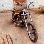 Harley-Davidson ironhead 1973, Particulier