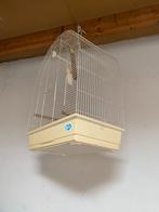vogelkooi, Dieren en Toebehoren, Ophalen, Gebruikt, Metaal, Vogelkooi