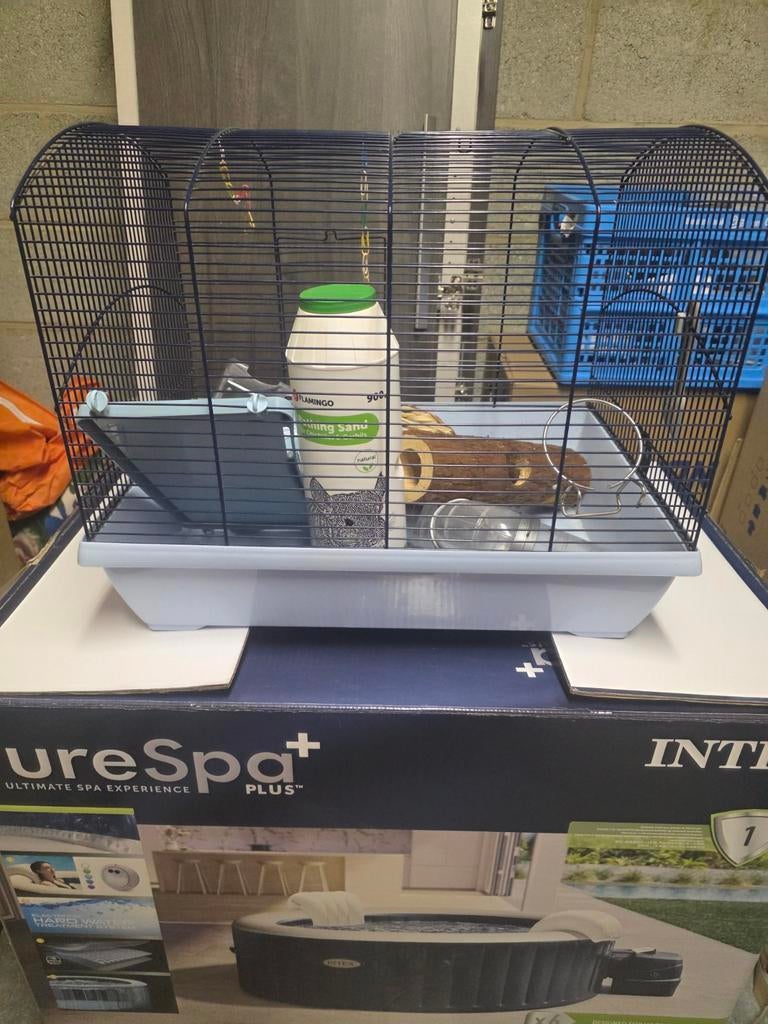 hamster kooi te koop, Ophalen of Verzenden