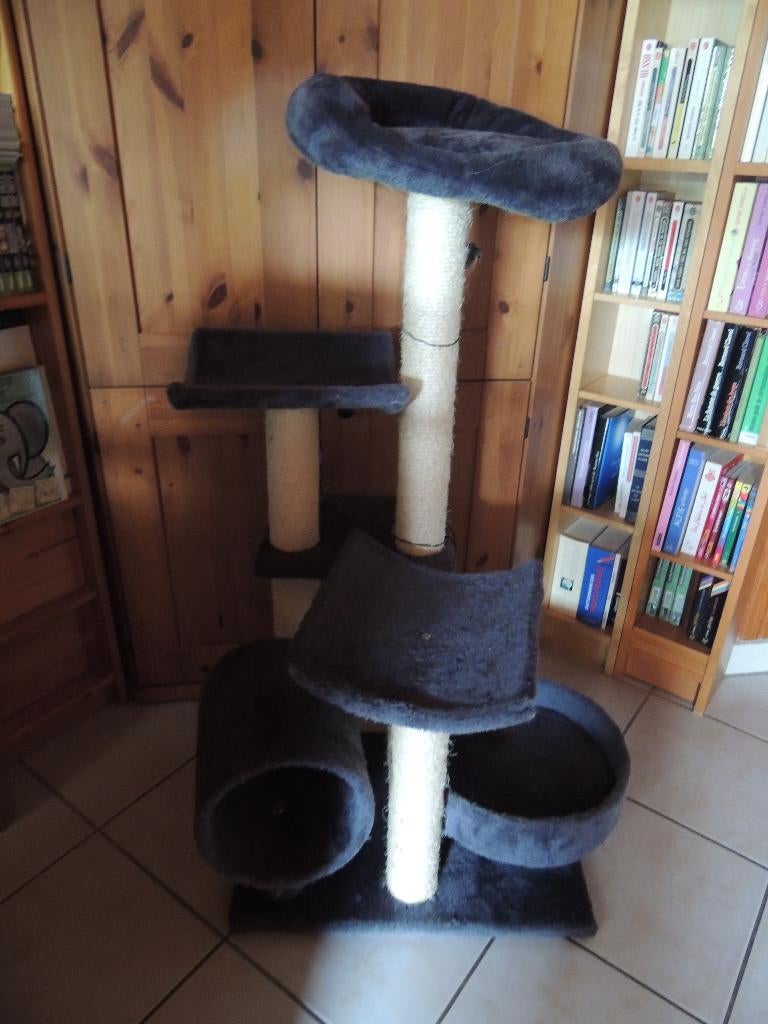 Arbre à chat, Enlèvement