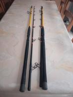 Canne silure Black Cat G2 allround, Sports nautiques & Bateaux, Pêche à la ligne | Poissons prédateurs, Enlèvement, Comme neuf