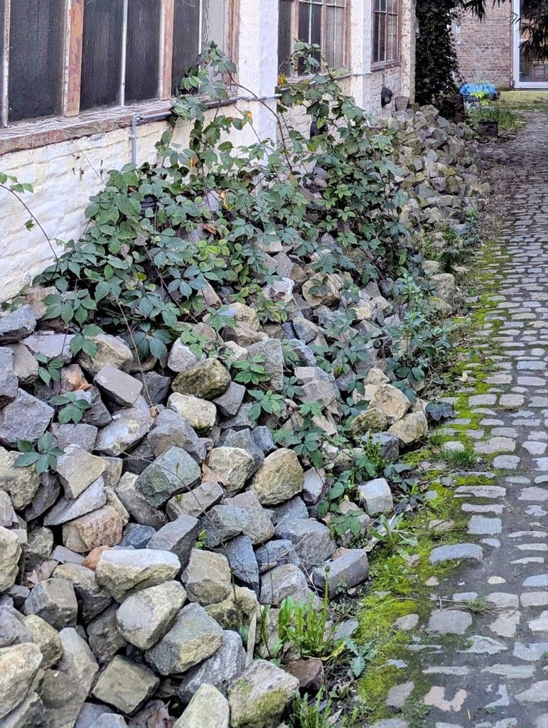 Belgische porfierklinkers, Tuin en Terras, Grind, Keien en Split, Ophalen