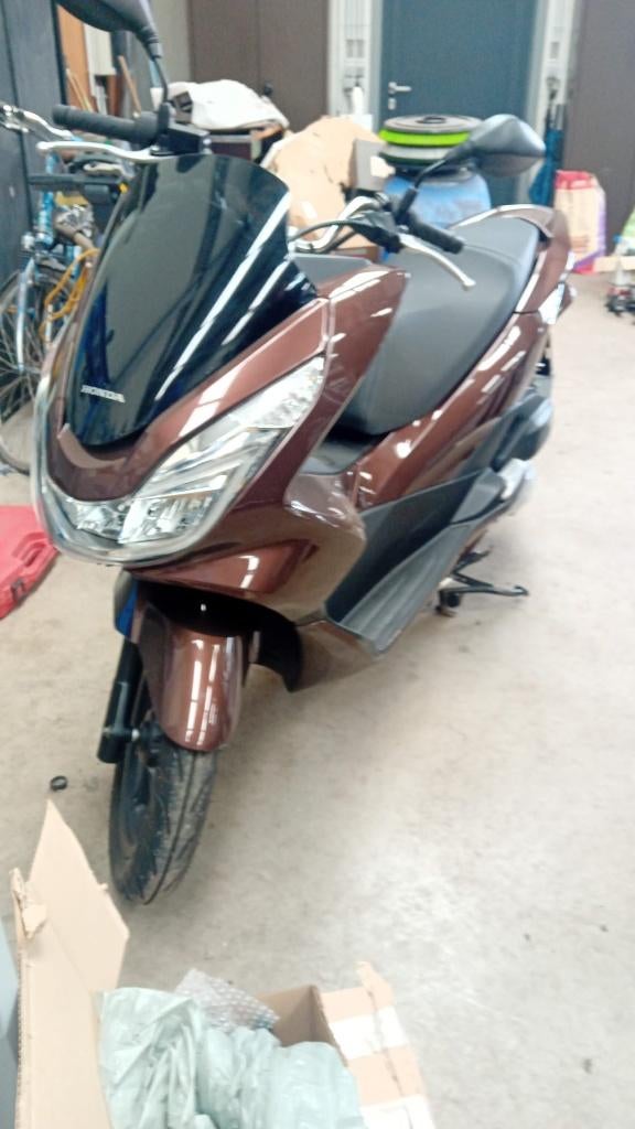 Moto scooter, Particulier, Scooter