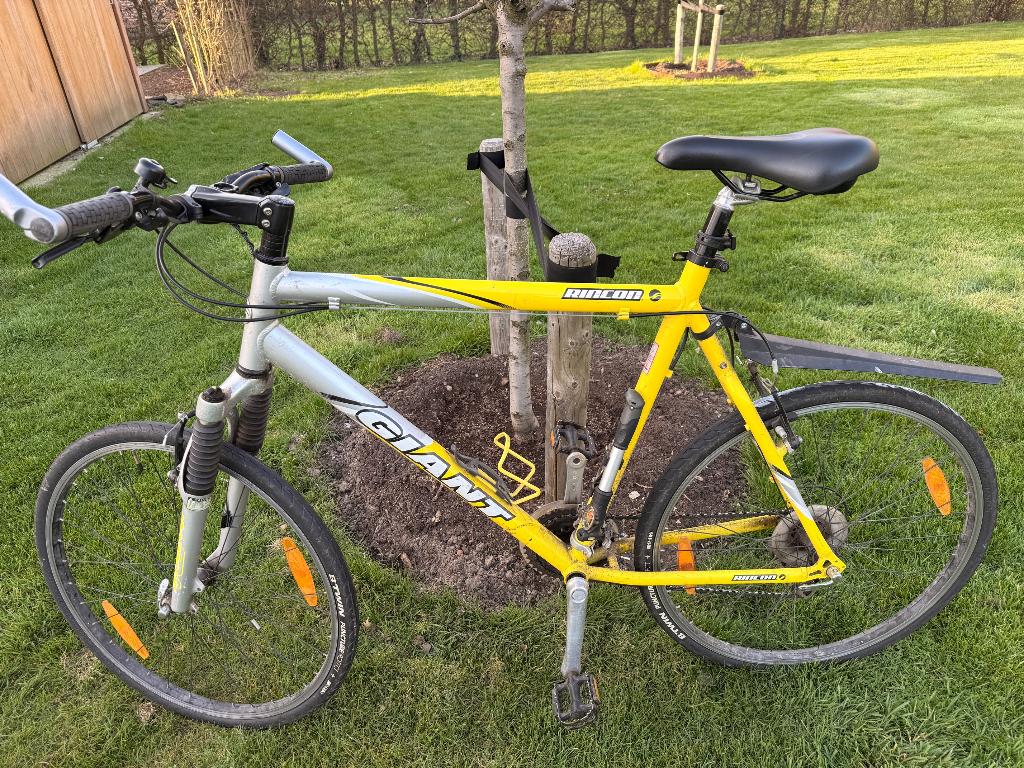 Giant Rincon MTB (maat XL), Fietsen en Brommers, Ophalen, Gebruikt, Giant