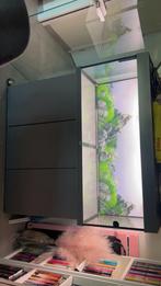 Aquarium te koop juwel rio 240l, Ophalen, Zo goed als nieuw, Leeg aquarium