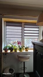 Volets roulants Duo 4 pièces, Enlèvement