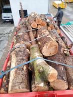 Container brandhout populier abeel es, Jardin & Terrasse, Bois de chauffage, Enlèvement