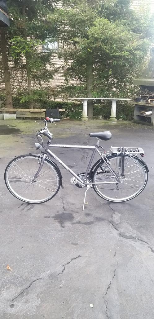 Vélos homme Diamond, Vélos & Vélomoteurs, Vélos | Hommes | Vélos pour homme