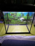 Aquarium 20l, Enlèvement, Utilisé, Aquarium vide