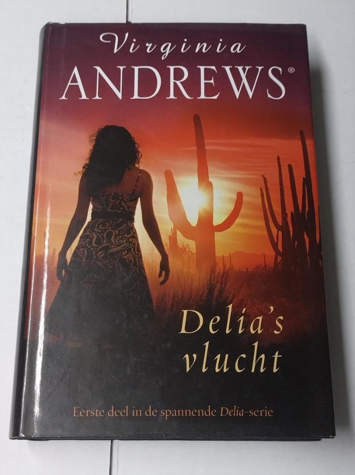 Groot lot boeken / romans / thrillers (deel 4), Boeken, Romans, Gelezen, België, Ophalen of Verzenden