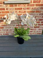 Kunstbloem orchidee, Ophalen, Zo goed als nieuw, Binnen