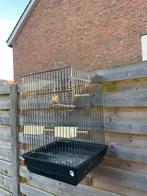Montana kooi, Dieren en Toebehoren, Ophalen, Gebruikt, Metaal, Vogelkooi