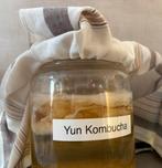 Yunkombutcha: yunscoby met startersvloeistof en recept, Diversen, Levensmiddelen, Ophalen