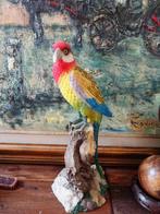 Perroquet coloré et superbement détaillé, H. 36 cm, Animal, Utilisé, Enlèvement ou Envoi