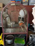 Grote vogel/papegaai kooi op wielen, Ophalen, Gebruikt, Metaal, Vogelkooi