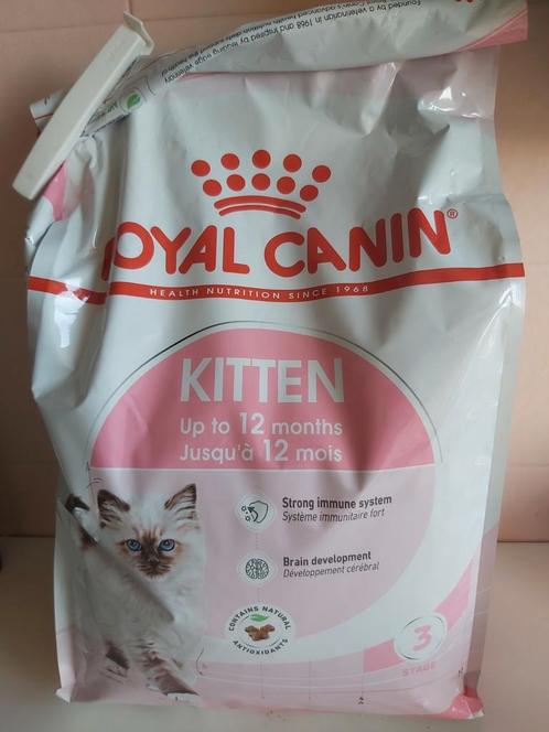 Kattenbrokjes . Royal Canin kitten, Animaux & Accessoires, Nourriture pour Animaux, Chat, Enlèvement