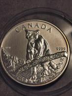 Canada, 5 Dollars 2012,Cougar ,Zilver AUNC,, Enlèvement ou Envoi, Monnaie en vrac, Argent, Amérique du Nord