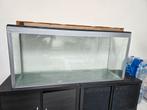 Aquarium terrarium à vendre, Moins de 60 cm, Enlèvement, Utilisé, Autres types