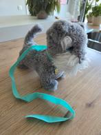 Hondje Tilly, Ophalen