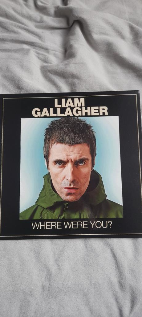 Liam Gallagher - Où étiez-vous ? 1LP, CD & DVD, Vinyles | Rock, Comme neuf, Alternatif, 12 pouces, Enlèvement ou Envoi