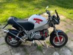 PBR / monkey R 125cc, Particulier