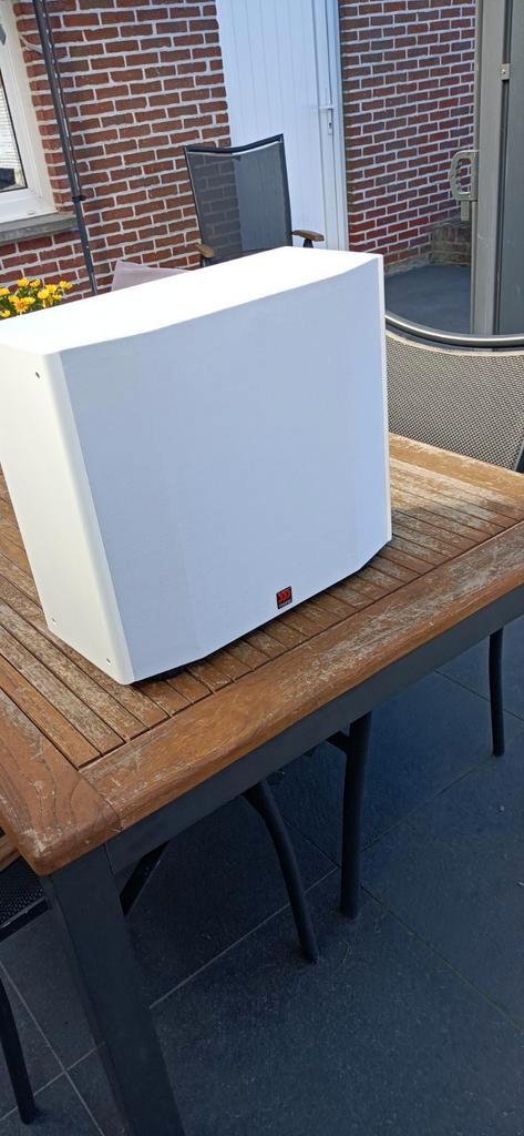 Morel subwoofer RS91P ( top professioneel), Audio, Tv en Foto, Luidsprekerboxen, Nieuw, Subwoofer, Ophalen of Verzenden