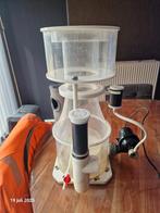 Zware afschuimer zeeaquarium, Enlèvement ou Envoi