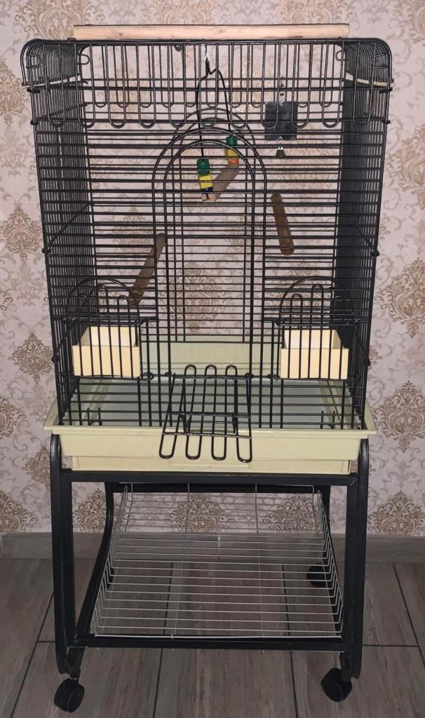 Grote papegaaienkooi met complete accessoires, Dieren en Toebehoren, Vogels | Hokken en Kooien, Ophalen of Verzenden