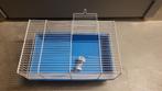 Cage petit rongeur, souris, hamster, Kooi, Gebruikt, Minder dan 75 cm, Hamster