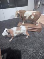 Decoratie slagerij, Antiek en Kunst, Ophalen