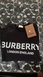 Pull burberry neuf, Kleding | Heren, Truien en Vesten, Maat 52/54 (L), Zwart, Nieuw, Ophalen of Verzenden