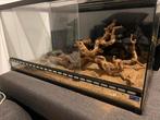 Terrarium, Dieren en Toebehoren, Ophalen