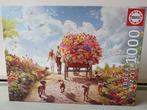 Puzzel Educa 'Carrying Flowers' 1000 stukjes, Hobby en Vrije tijd, Denksport en Puzzels, Ophalen of Verzenden, 500 t/m 1500 stukjes