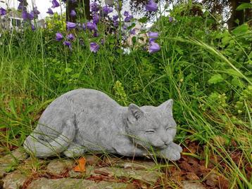 poes beton , ada beschikbaar voor biedingen