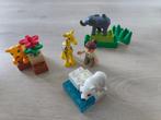 Duplo 4962 - Baby dierentuin, Kinderen en Baby's, Speelgoed | Duplo en Lego, Complete set, Duplo, Zo goed als nieuw, Ophalen