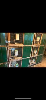 Clapiers de 9 cases à vendre, Animaux & Accessoires, Enlèvement, Comme neuf