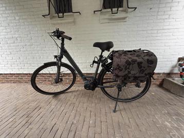 Pegasus beschikbaar voor biedingen