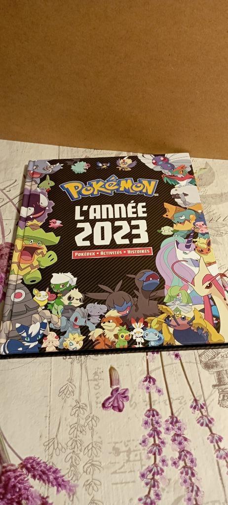 Livre Pokémon., Boeken, Kinderboeken | Baby's en Peuters, Gelezen, Ophalen of Verzenden