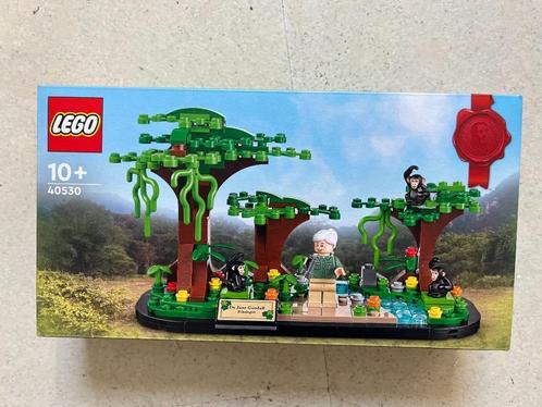 Lego 40530 Eerbetoon aan Jane Goodall, Kinderen en Baby's, Speelgoed | Duplo en Lego, Nieuw, Lego, Complete set, Ophalen of Verzenden