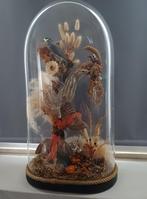 antieke glazen globe met taxidermie van allerlei dieren, Antiek en Kunst, Ophalen