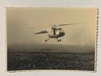Originele foto Bristol Sycamore B-2 Belgian Air Force Congo, Verzamelen, Foto of Poster, Luchtmacht, Ophalen of Verzenden