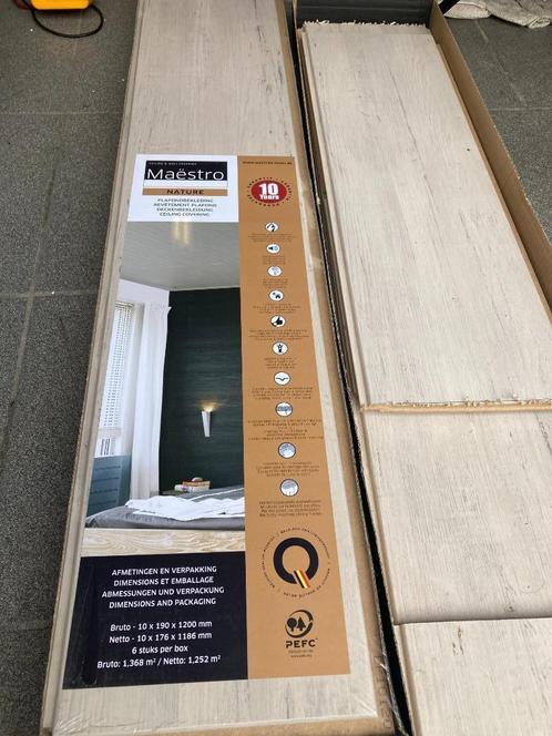 plafondbekleding Maëstra, Huis en Inrichting, Overige Huis en Inrichting, Nieuw, Ophalen