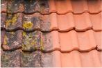Ontmossen van daken, Diensten en Vakmensen, Garantie, Verbouw of Aanbouw